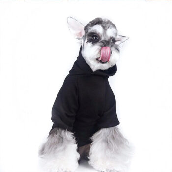 Dog Hoodies Palm Angels - 2025 - Puppy Streetwear Shop