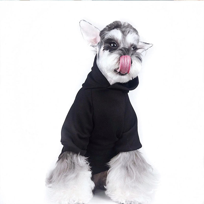 Designer Dog Hoodies Palm Angels - 2023 - Puppy Streetwear Shop