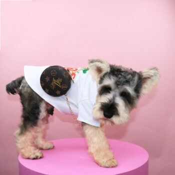 LV Marron Dog Backpack - Fashion-Forward Canine Luxury - 2025 - Puppy Streetwear Shop