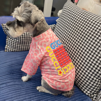 Dog Tshirt Pawcci - 2025 - Puppy Streetwear Shop