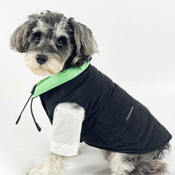 Dog Jacket Canada Goose - 2026 - Puppy Streetwear Shop