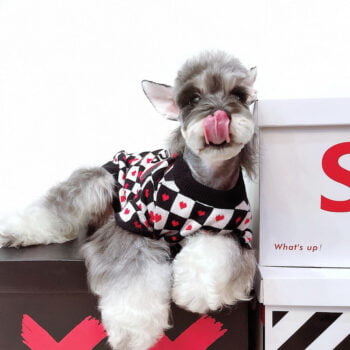 Dog Sweater Dior - 2026 - Puppy Streetwear Shop