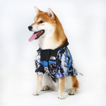 Dog Jacket The Dog Face Snow Mountain - 2026 - Puppy Streetwear Shop