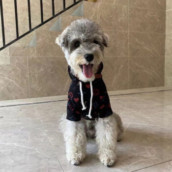 Dog Hoodies Louis Pawtton - 2025 - Puppy Streetwear Shop