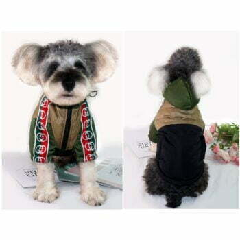 Dog Jacket Pawcci - 2026 - Puppy Streetwear Shop