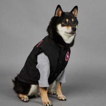 Dog Jacket - 2025 - Puppy Streetwear Shop