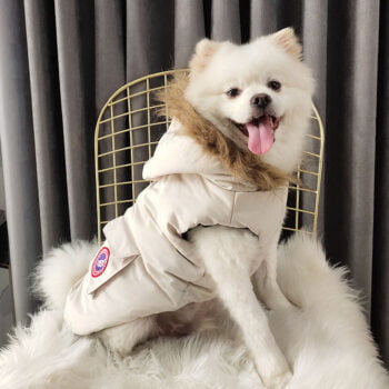 Canada Goose-Inspired Dog Jacket - 2026 - Puppy Streetwear Shop