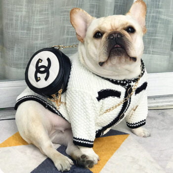 Dog Sweater Chanel - 2025 - Puppy Streetwear Shop