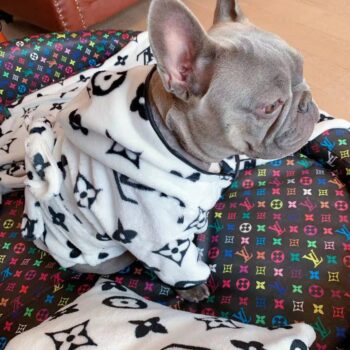 Dog Hoodies Louis Pawtton - 2025 - Puppy Streetwear Shop