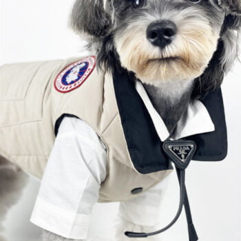 Dog Jacket Canada Goose - 2026 - Puppy Streetwear Shop
