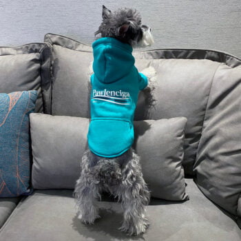 Dog Hoodies Balenciaga - 2026 - Puppy Streetwear Shop