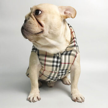 Dog Jacket Burberry - 2026 - Puppy Streetwear Shop