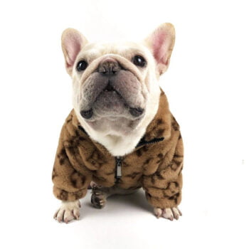 Dog Jacket Louis Pawtton - 2025 - Puppy Streetwear Shop