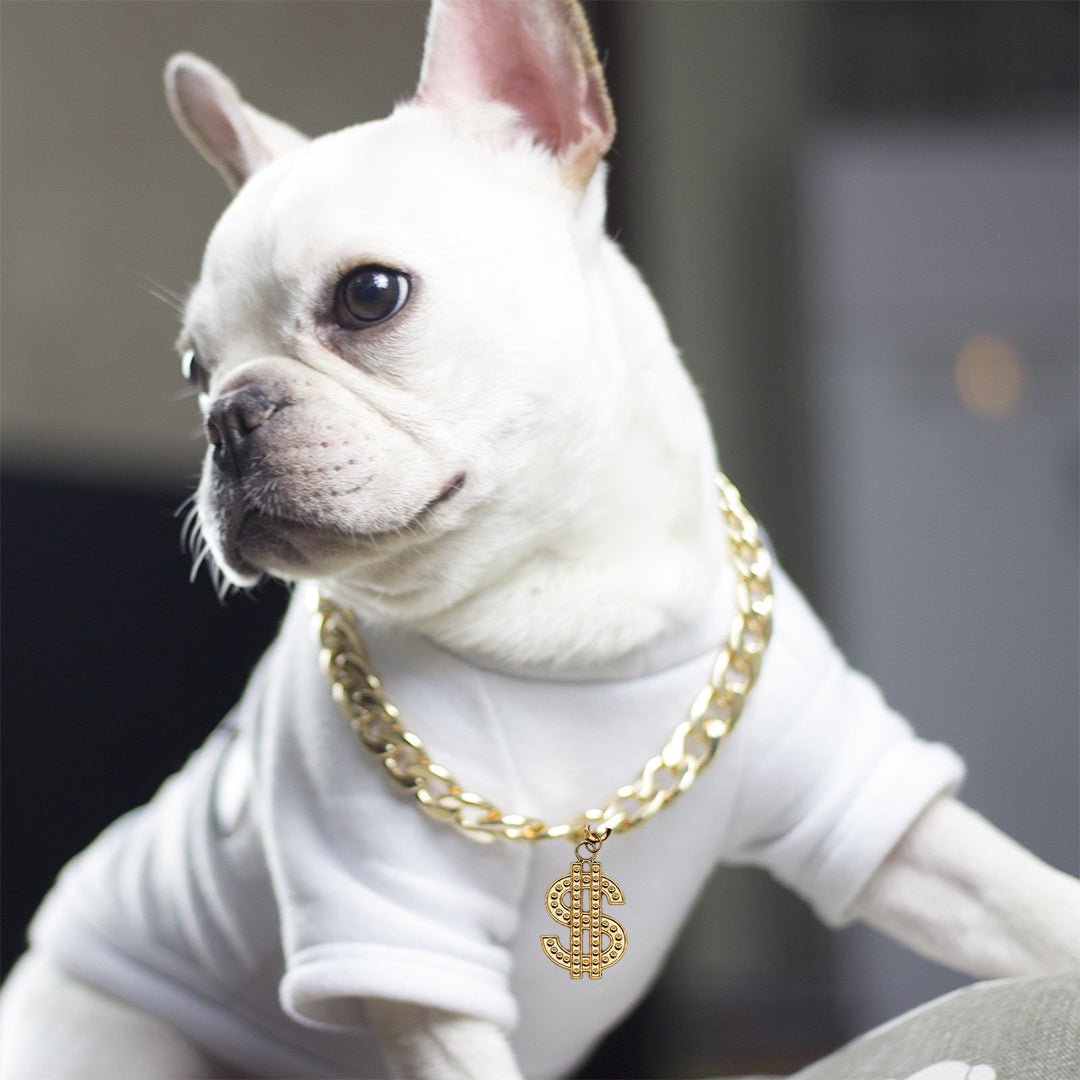 Dog Chain - 2025 - Puppy Streetwear Shop