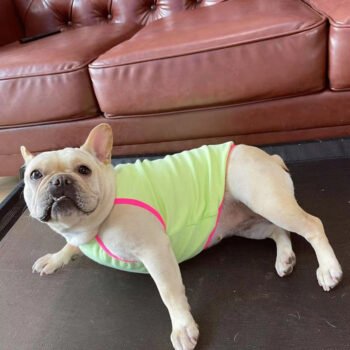 Dog Vest Chanel - 2025 - Puppy Streetwear Shop