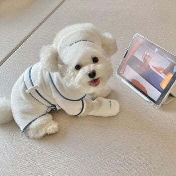 Dog Bathrobe - 2025 - Puppy Streetwear Shop