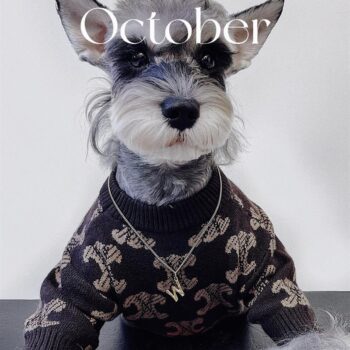 Dog Sweater Celine - 2025 - Puppy Streetwear Shop