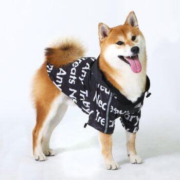 Dog Jacket The Dog Face - 2025 - Puppy Streetwear Shop Dog Jacket The Dog Face - 2025 - Puppy Streetwear Shop