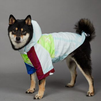 Dog Hoodies The North Face - 2025 - Puppy Streetwear Shop
