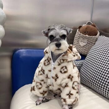 Dog Hoodies Louis Pawtton - 2025 - Puppy Streetwear Shop Dog Hoodies Louis Pawtton - 2025 - Puppy Streetwear Shop