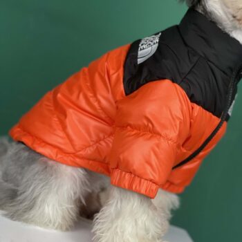 Dog Jacket The Dog Face - 2025 - Puppy Streetwear Shop Dog Jacket The Dog Face - 2025 - Puppy Streetwear Shop