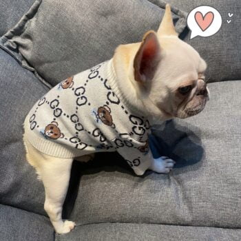 Dog Sweater Pawcci - 2026 - Puppy Streetwear Shop