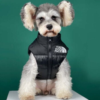 Dog Jacket The Dog Face - 2025 - Puppy Streetwear Shop Dog Jacket The Dog Face - 2025 - Puppy Streetwear Shop