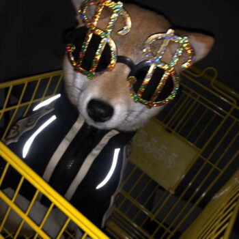 Dog Jacket Pawcci - 2025 - Puppy Streetwear Shop