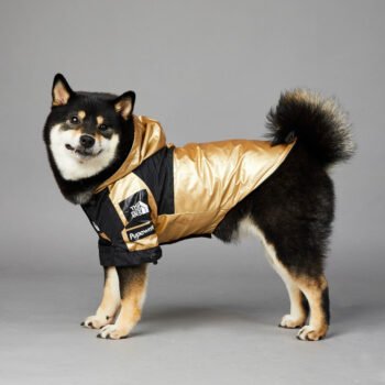 Dog Hoodies The North Face - 2026 - Puppy Streetwear Shop