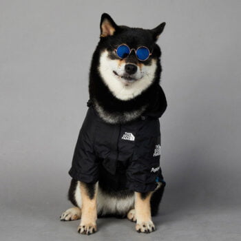 Dog Hoodies The North Face - 2025 - Puppy Streetwear Shop