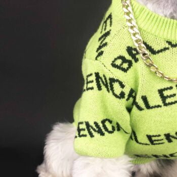 Dog Sweater Balenciaga - 2025 - Puppy Streetwear Shop
