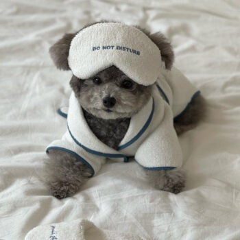 Dog Bathrobe - 2025 - Puppy Streetwear Shop