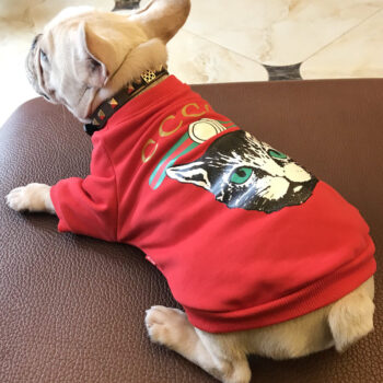 Dog Sweatshirt Pawcci - 2025 - Puppy Streetwear Shop