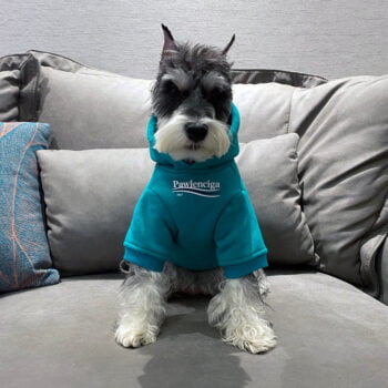 Dog Hoodies Balenciaga - 2026 - Puppy Streetwear Shop
