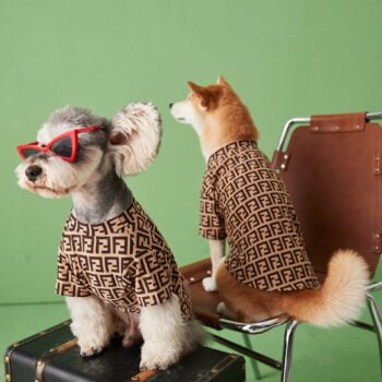 Dog Tshirt Fendi - 2025 - Puppy Streetwear Shop