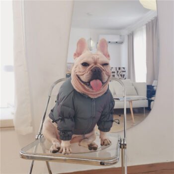 Dog Jacket - 2025 - Puppy Streetwear Shop