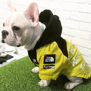 Dog Jacket The North Face - 2025 - Puppy Streetwear Shop