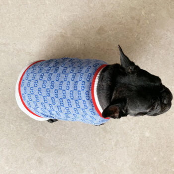 Dog Sweater Pawcci - 2026 - Puppy Streetwear Shop