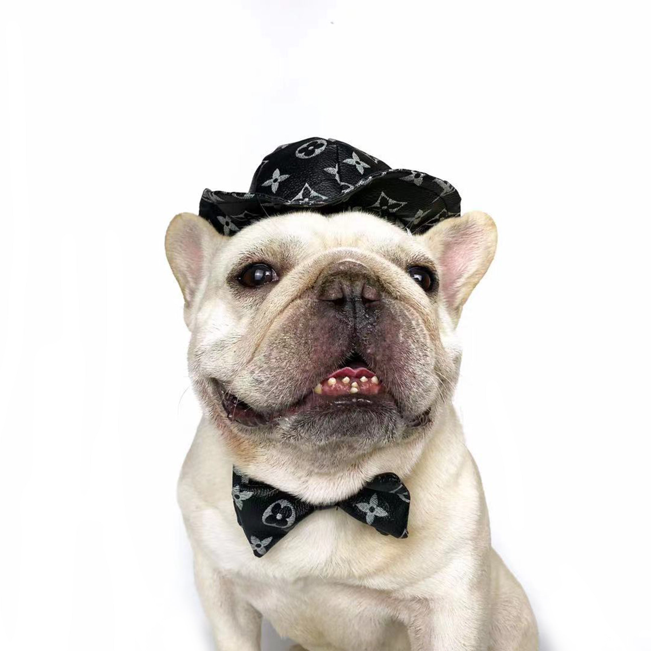 Designer Dog Caps and Bow Tie - 2023 - Puppy Streetwear Shop