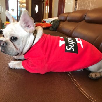 Dog Hoodies Louis Pawtton - 2025 - Puppy Streetwear Shop