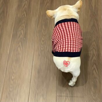 Dog Sweater Chanel - 2026 - Puppy Streetwear Shop