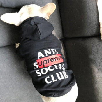 Dog Hoodies ASSP - 2025 - Puppy Streetwear Shop