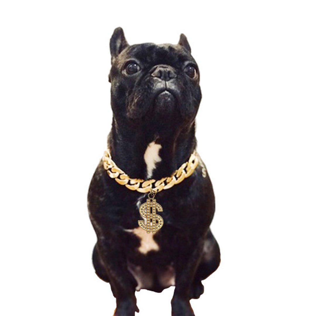 Dog Chain - 2025 - Puppy Streetwear Shop