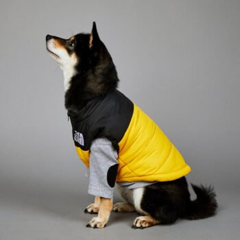 Exclusive Designer Dog Jackets - The North Face Inspired Puppy Apparel - 2025 - Puppy Streetwear Shop