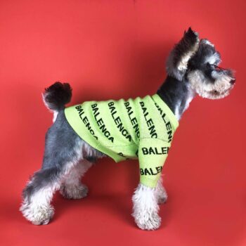 Dog Sweater Balenciaga - 2025 - Puppy Streetwear Shop