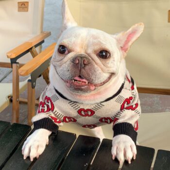 Dog Sweater Pawcci - 2025 - Puppy Streetwear Shop Dog Sweater Pawcci - 2025 - Puppy Streetwear Shop