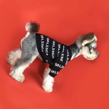 Dog Sweater Balenciaga - 2025 - Puppy Streetwear Shop