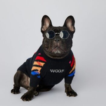 Dog Sweater WOOF - 2026 - Puppy Streetwear Shop