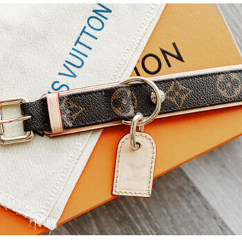 Dog Collar Harness Louis Pawtton - 2025 - Puppy Streetwear Shop