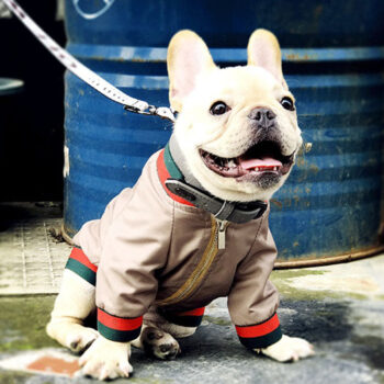 Dog Jacket Pawcci - 2025 - Puppy Streetwear Shop